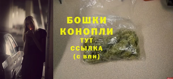 ПСИЛОЦИБИНОВЫЕ ГРИБЫ Верхний Тагил