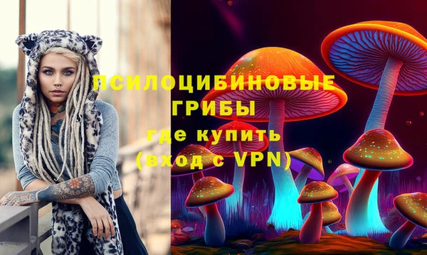 ПСИЛОЦИБИНОВЫЕ ГРИБЫ Верхний Тагил