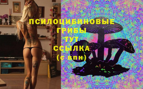 ПСИЛОЦИБИНОВЫЕ ГРИБЫ Верхний Тагил