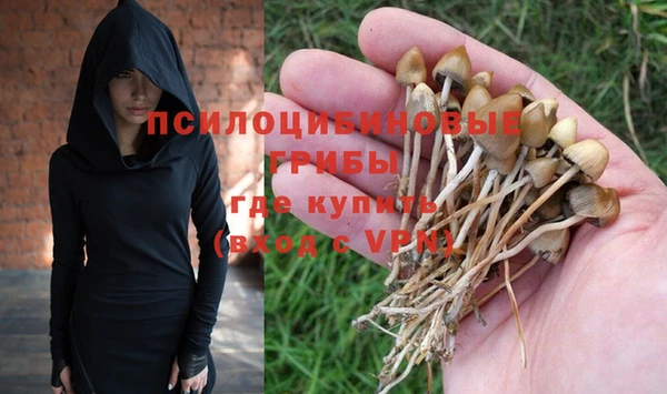 шишки Верхнеуральск