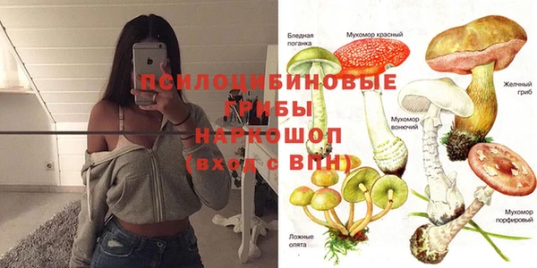 ПСИЛОЦИБИНОВЫЕ ГРИБЫ Верхний Тагил