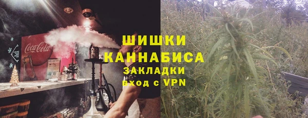 ПСИЛОЦИБИНОВЫЕ ГРИБЫ Верхний Тагил