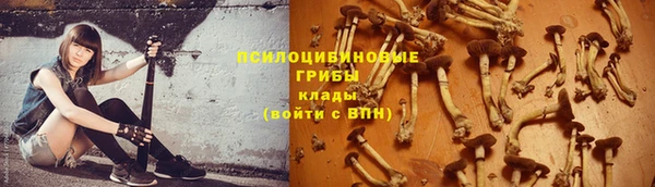 шишки Верхнеуральск