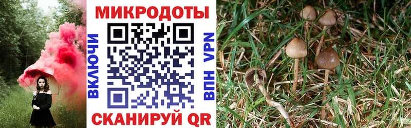 Галлюциногенные грибы ЛСД  где продают наркотики  Чердынь 